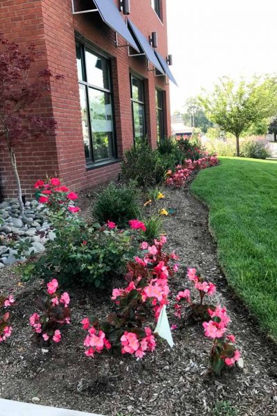 Commercial-Landscaping